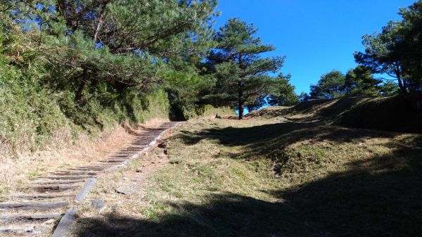 東埔山+鹿林前山+鹿林山+麟趾山228915