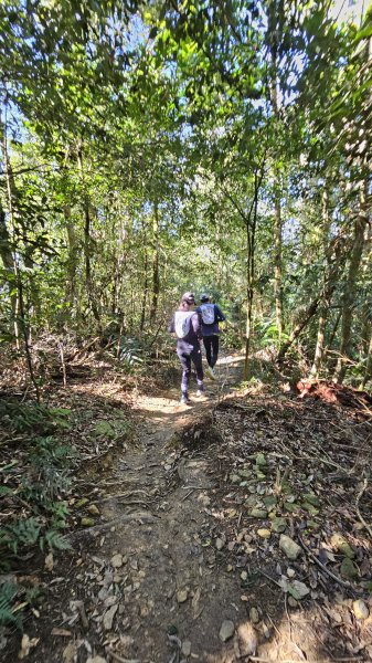 250123-八攀魔王小百岳#073尾寮山。想不到美美兔尾寮山五闖、六登、七衝已攻佔＜台灣森林悠遊網2697994