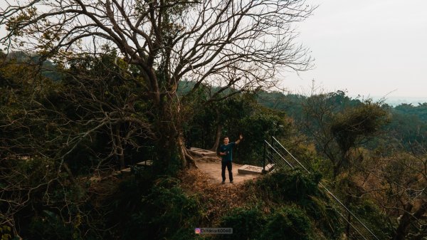 龍過脈森林步道2511507