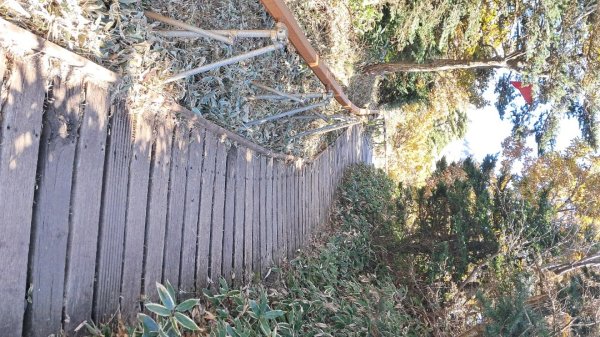 濟州島漢拏山-御里牧路線下2942706