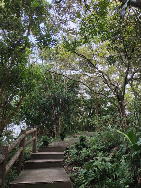 2023.12.08 南勢角山2695819