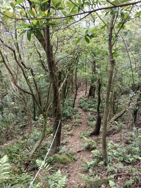 蛇子形古道+柴寮古道2754241