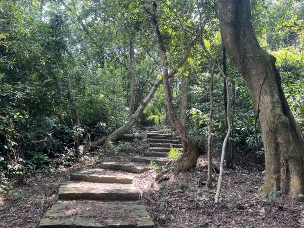 [皮皮獅Hike客任務-09/10] 2024_0831 南埔村觀音步道+挑水壢古道2586322