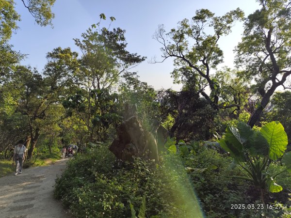 【臺北大縱走 5】碧山巖→忠勇山越嶺步道→金龍產業道路→圓明寺步道→鄭成功廟步道→文間山→劍潭山步道2744901