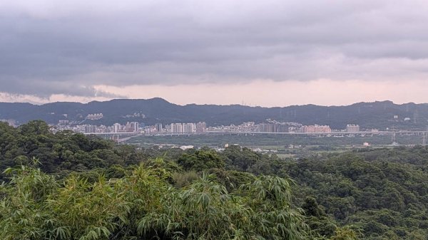 飛鳳山步道3118549
