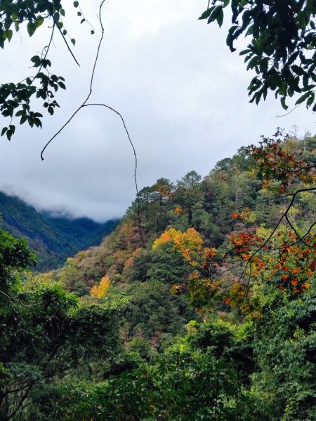 霞喀羅古道全線解鎖（石鹿到養老）2961034