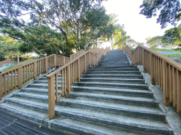 【四獸山 Short】虎豹象先行！獅山封閉中，等新步道開箱再相見2888868