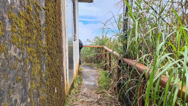 大塔山探勘大塔山最高峰(光頭兄) O繞順走大塔山西峰艱難路線下溪谷 2024年8月11日2569710