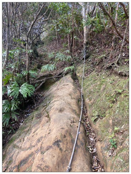 皇帝殿石壩尖、東峰、西峰連走(北峰登山口)2675653