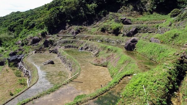 大崎頭步道,坪頂古圳,內雙溪古道,後湖底溪古道2275577