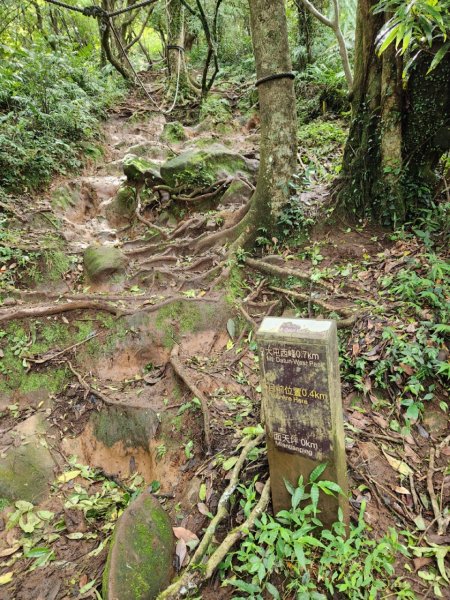 20230806 走遍陽明山最終回，大屯山群峰2240879