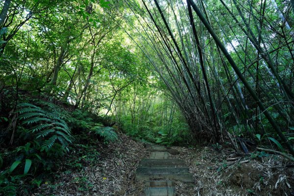 新北 汐止 學頭坡山、老鷲尖山、水尾潭山、內溝山2603823