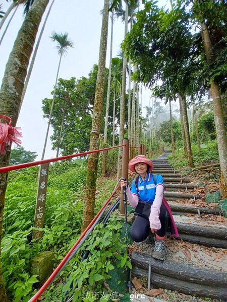 【嘉義竹崎】說好的稜線風景呢。阿拔泉山稜線步道連走獨立山O繞2684129