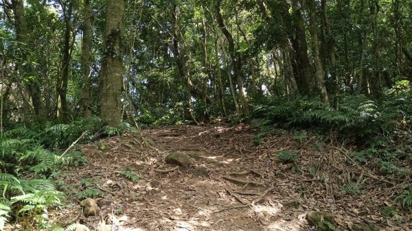 20251004 馬那邦山 - 珠湖 登山口2904932