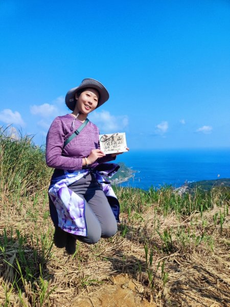 龍洞灣岬步道-蚊子坑山-北勢坑古道2981942