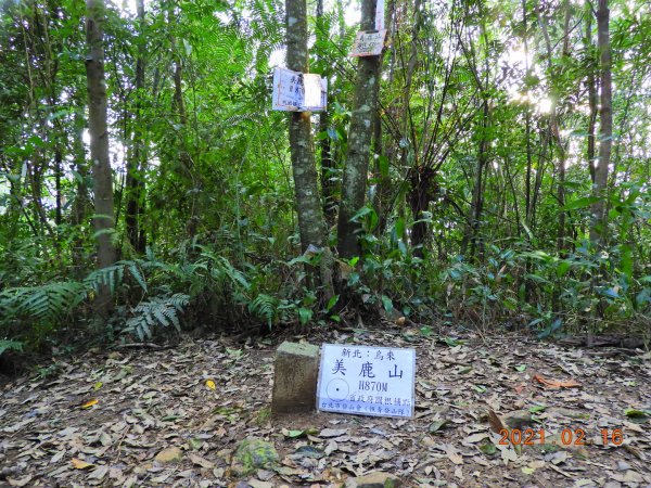 新北 烏來 美鹿山、高腰山、拔刀爾山1273951