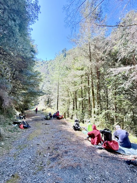 230林道糜爛去    2025.2.28-3.12733796