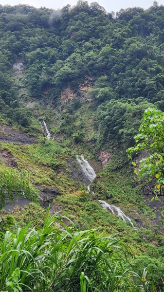 20230730 苗栗加里山午後雷陣雨篇（中級山小百岳）2235167