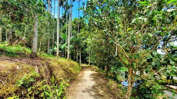 紫微聖母環山步道，五尖山，原住民族生態公園，大平紅橋，三坑自然生態公園1746442