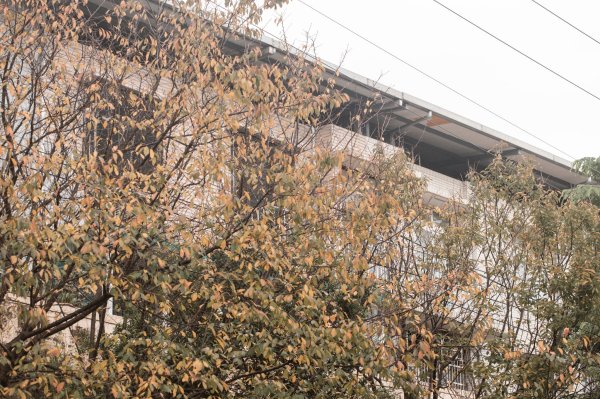 基隆一日雙塔｜山、海、碼頭2684337