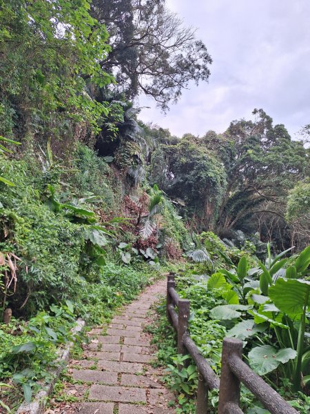 飛龍步道(崇聖亭起登)202401222696327