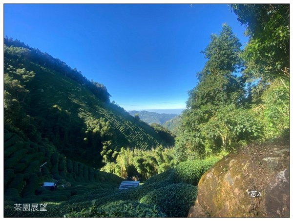 嶺頭山、金柑樹山、忘憂森林 O型一圈2944644