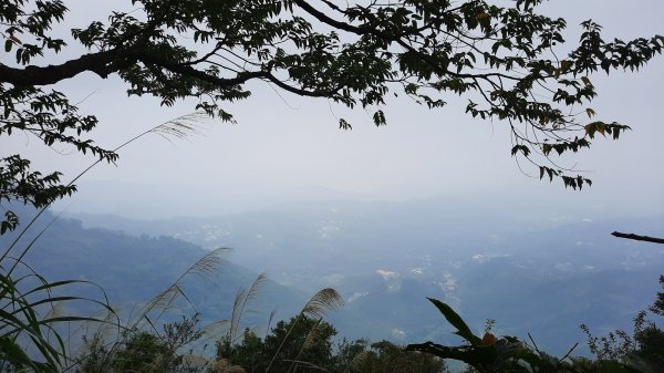 《雲林》全程陡陡｜華山10-5號步道上雲嘉大尖山202203061631153