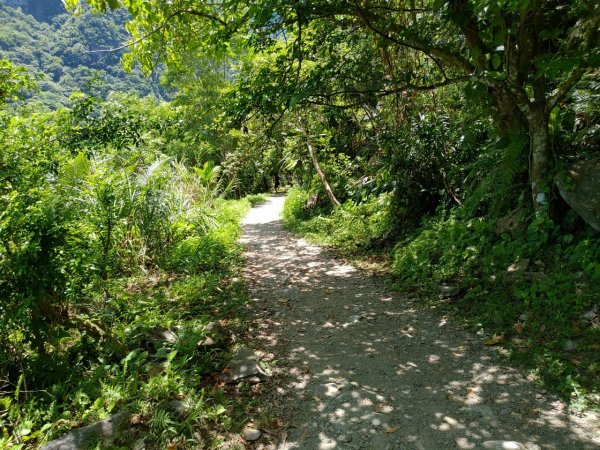 山巒峻秀溪水碧綠－砂卡噹步道1048817