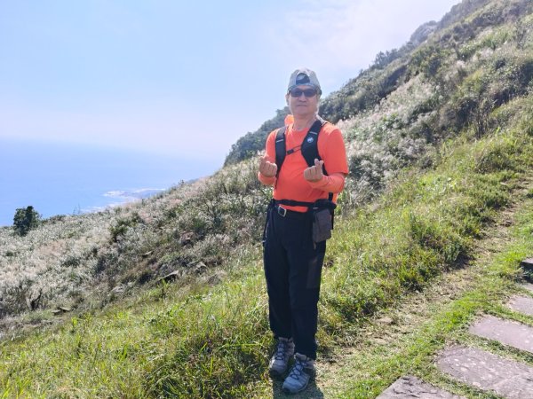 草嶺古道2025 芒花季2932030