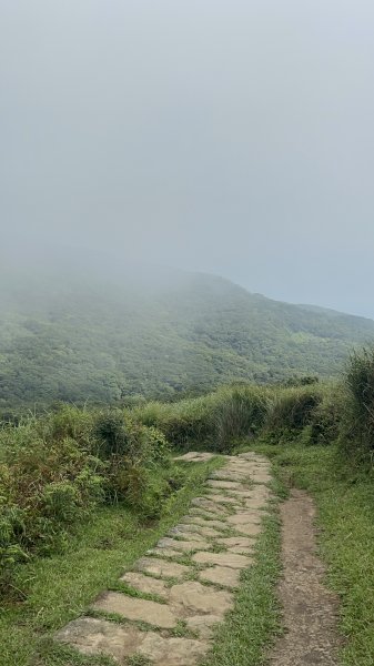 20240803頂山石梯嶺步道2582928