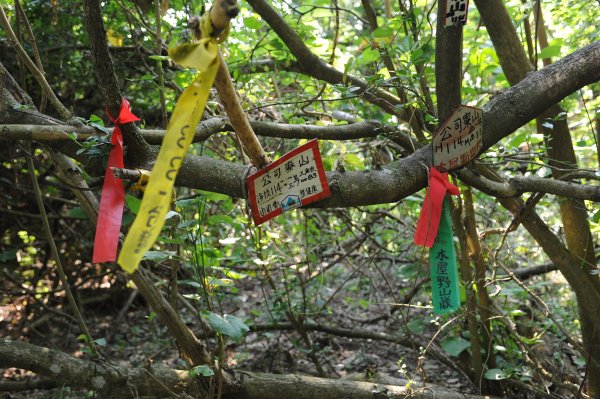 [一等衛星控制點巡禮] 2013_0819_公司寮庄(苗栗縣)2169891