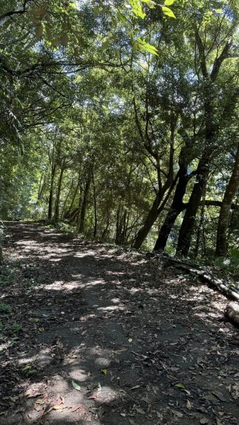 20240723新竹尖石水田林道鴛鴦谷瀑布步道2559699
