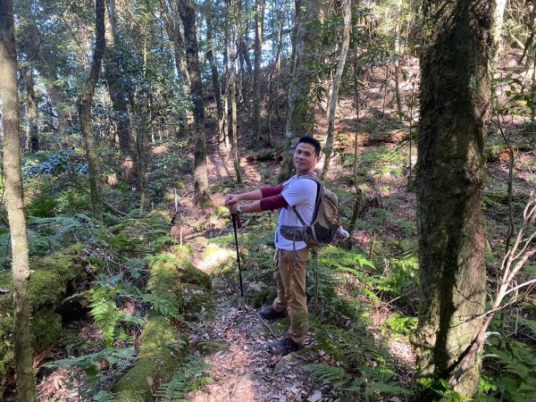 長壽山-醜崠山-鳶嘴山【既優雅又狂野的另類選擇】2673964
