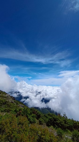 南橫F4之關山/庫哈諾辛山1748003