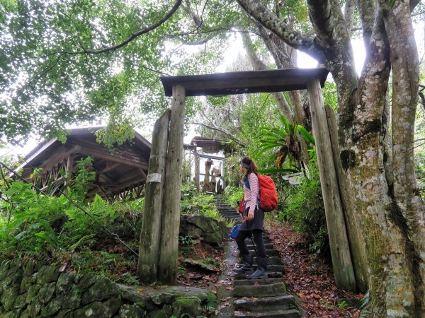 石夢谷 - 山、水、石、樹之美1142717