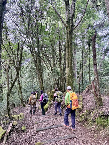 船型山神木悠遊    2025.09.222893819