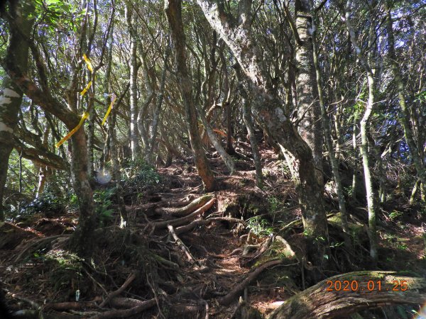 新竹 尖石 大、中、小島田山813653