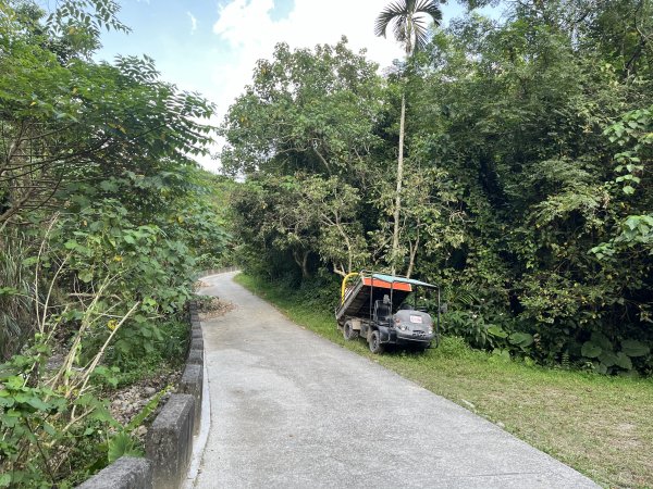 [百山百鳥尋旅-04/15] 2025_0817 龍過脈森林步道2863241