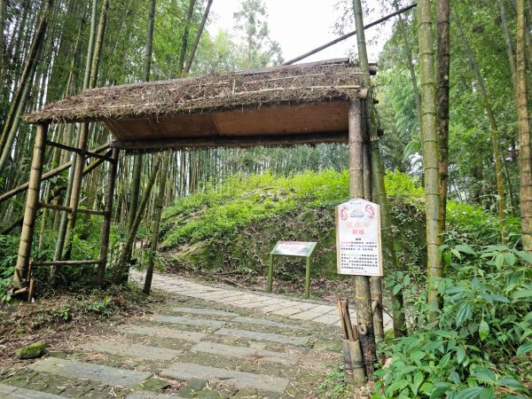 阿里山頂湖步道 - 2024嘉遊好步道．來嘉走走2631666