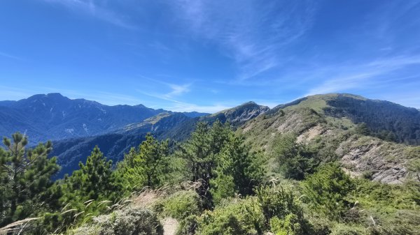 合歡山北峰 小溪營地 鷹角石 合歡北峰名樹2903398