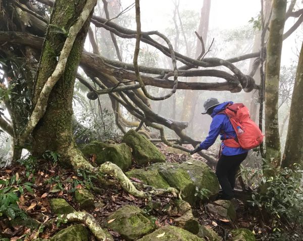 青山常在 九份二山293071