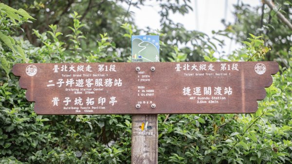 台北大縱走第一段：台北藝術大學-二子坪（緩步爬升的生態步道）1713884