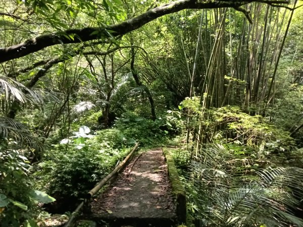 雙溪區崩山坑古道+下坑山稜線越嶺路+下坑山O型2839794