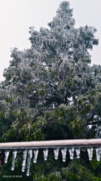 #太平山 #望洋山 #霧淞 1/222986048