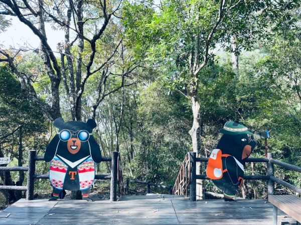 20241230 台中谷關捎來步道2739167