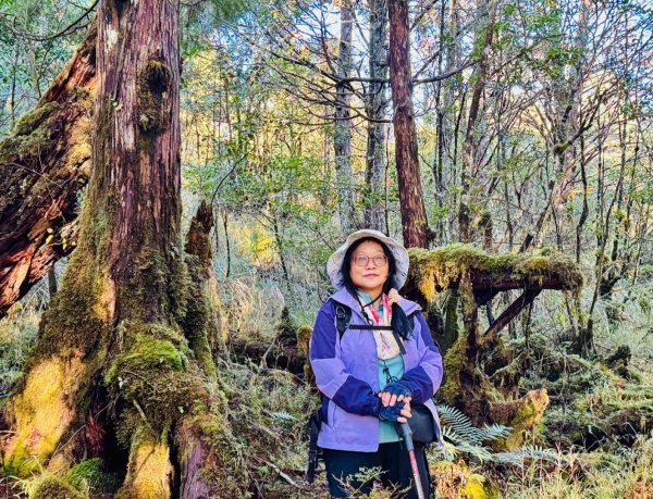 走入魔幻森林 探訪三星池與妹池2952306