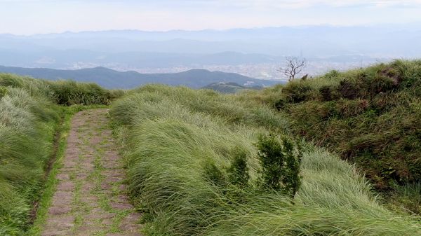 天晴風強!七星山主峰空蕩蕩!137985