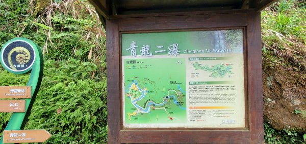 2023-01-01杉林溪青龍蕨類步道(青龍瀑布)、松瀧岩瀑布及天地眼步道1978851