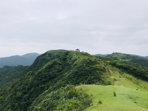 瓏美麗一週一步道（桃源谷）590205