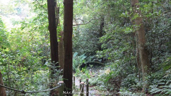 《苗栗》關刀出關｜三義關刀山出關古道(聖關段-苗56)202509052878826